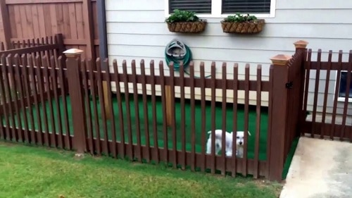 wood fencing dog run