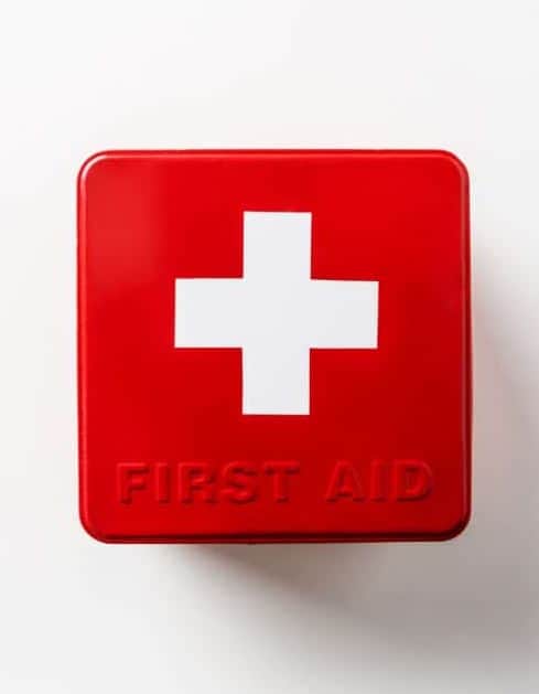 Dog first aid.