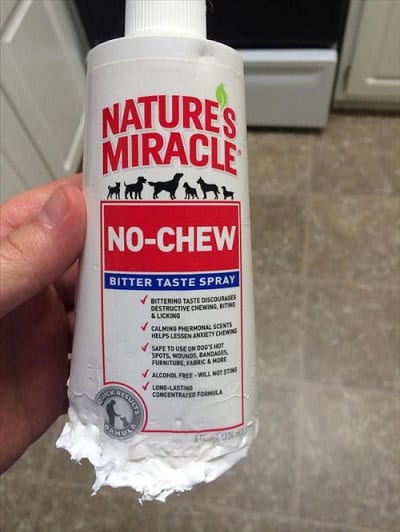 No chew spray for dogs.