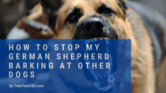 how to stop my german shepherd barking at other dogs