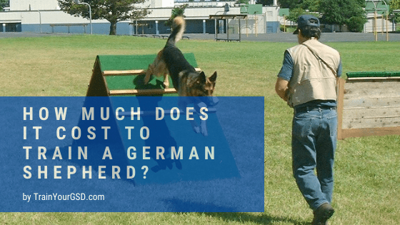 how much does it cost to train a german shepherd?